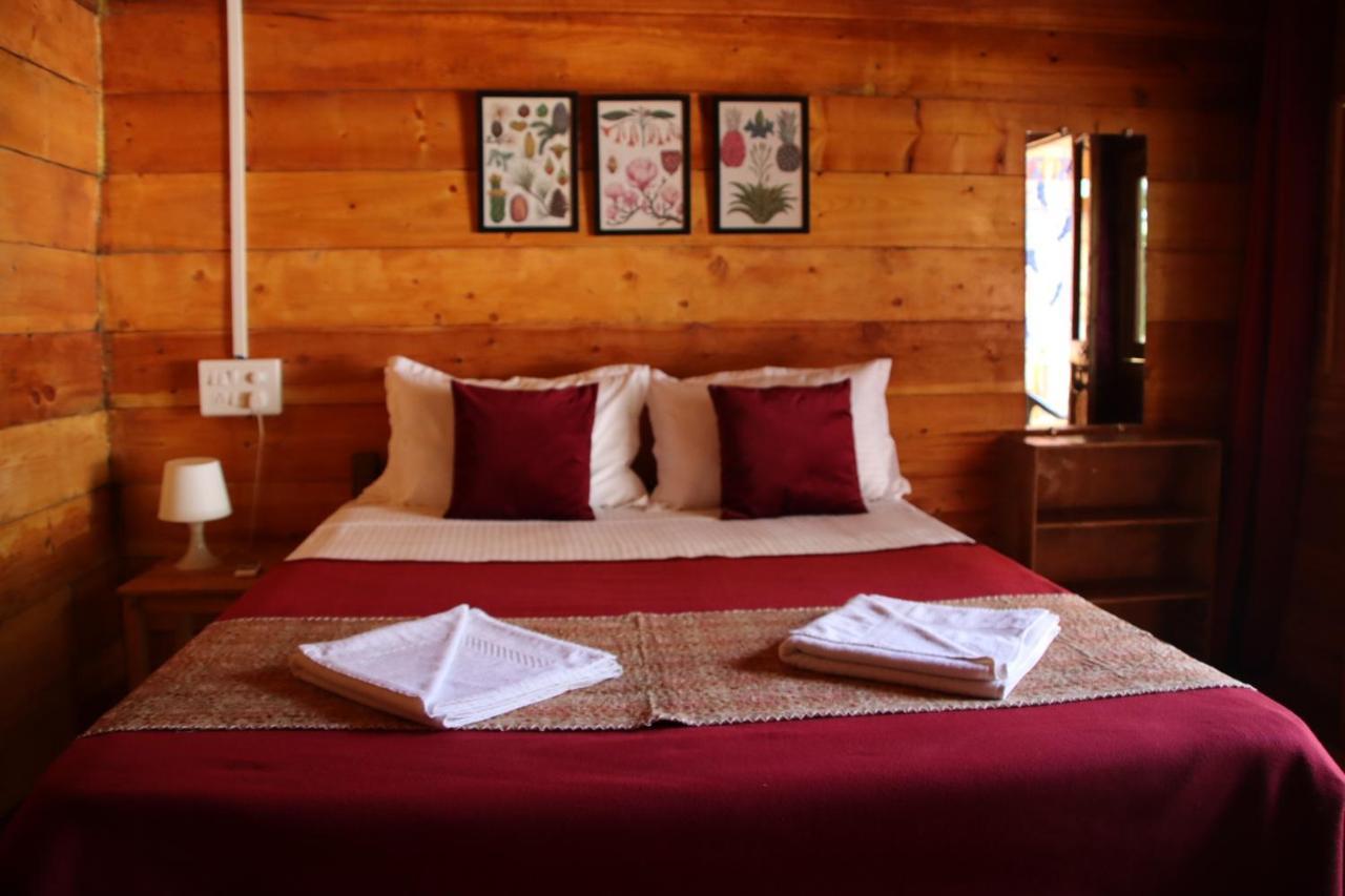 Hotel Cilantro Agonda Exteriér fotografie